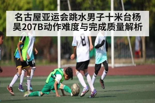 名古屋亚运会跳水男子十米台杨昊207B动作难度与完成质量解析
